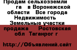 Продам сельхозземли ( 6 000 га ) в Воронежской области - Все города Недвижимость » Земельные участки продажа   . Ростовская обл.,Таганрог г.